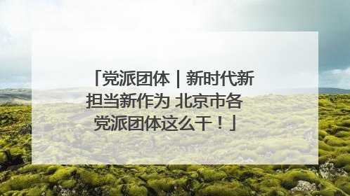 党派团体｜新时代新担当新作为 北京市各党派团体这么干！