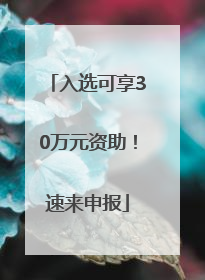 入选可享30万元资助！速来申报