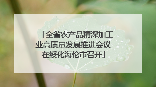 全省农产品精深加工业高质量发展推进会议在绥化海伦市召开
