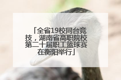 全省19校同台竞技，湖南省高职院校第二十届职工篮球赛在衡阳举行