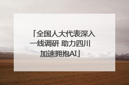 全国人大代表深入一线调研 助力四川加速拥抱AI