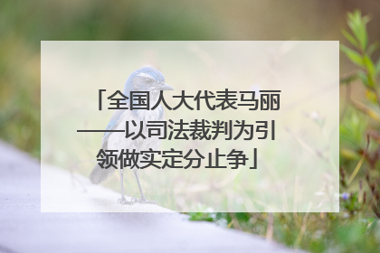 全国人大代表马丽——以司法裁判为引领做实定分止争