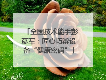全国技术能手彭彦军：匠心巧辨设备“健康密码”