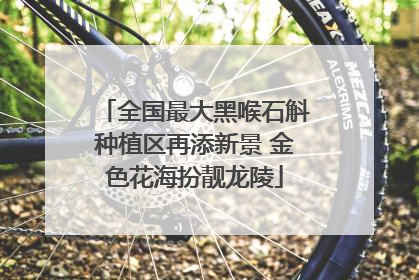 全国最大黑喉石斛种植区再添新景 金色花海扮靓龙陵