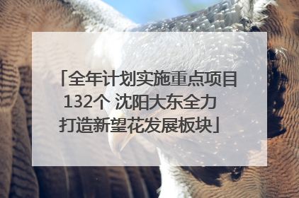 全年计划实施重点项目132个 沈阳大东全力打造新望花发展板块