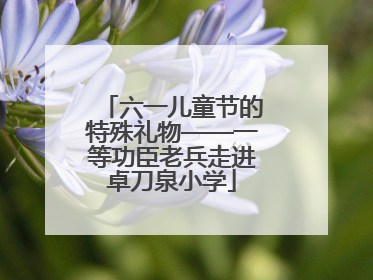 六一儿童节的特殊礼物——一等功臣老兵走进卓刀泉小学