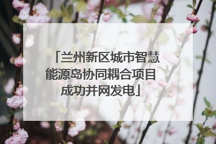 兰州新区城市智慧能源岛协同耦合项目成功并网发电