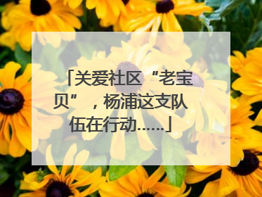 关爱社区“老宝贝”，杨浦这支队伍在行动……