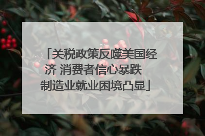 关税政策反噬美国经济 消费者信心暴跌 制造业就业困境凸显