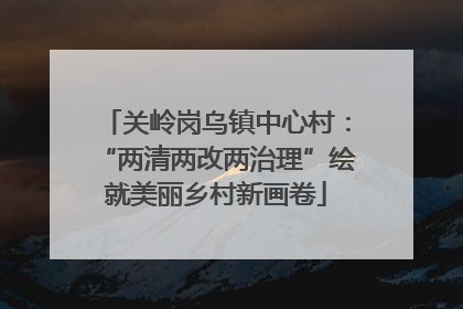 关岭岗乌镇中心村：“两清两改两治理”绘就美丽乡村新画卷