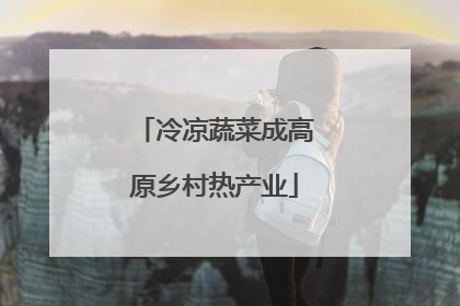 冷凉蔬菜成高原乡村热产业