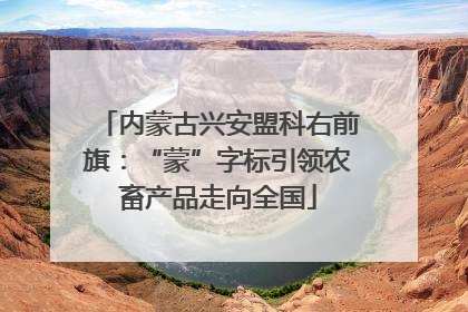 内蒙古兴安盟科右前旗：“蒙”字标引领农畜产品走向全国