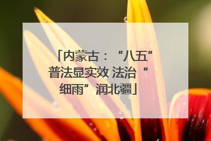 内蒙古：“八五”普法显实效 法治“细雨”润北疆
