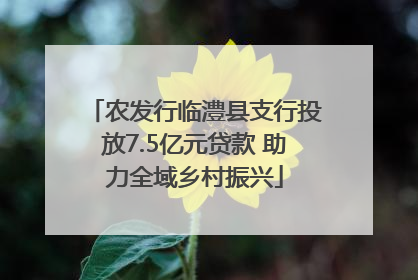 农发行临澧县支行投放7.5亿元贷款 助力全域乡村振兴