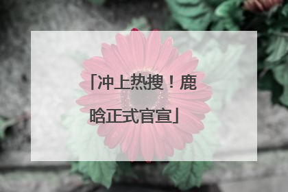 冲上热搜！鹿晗正式官宣