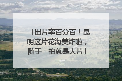 出片率百分百！昆明这片花海美炸啦，随手一拍就是大片