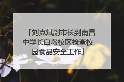 刘克斌副市长到南昌中学长白岛校区检查校园食品安全工作