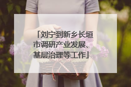 刘宁到新乡长垣市调研产业发展、基层治理等工作