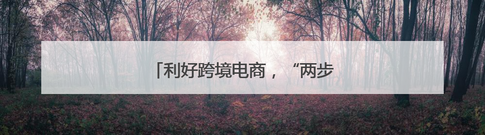 利好跨境电商，“两步申报”新模式落地宁波
