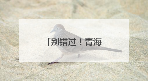 别错过！青海首家国际品牌集合店开业