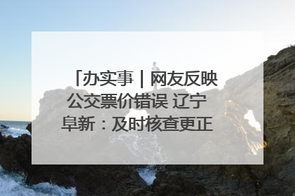 办实事｜网友反映公交票价错误 辽宁阜新：及时核查更正 加强实时巡检