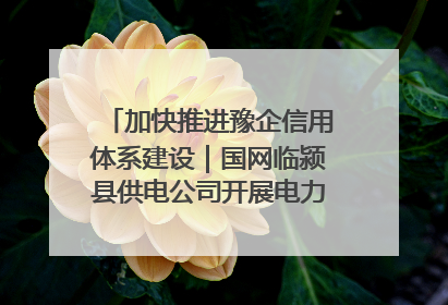 加快推进豫企信用体系建设｜国网临颍县供电公司开展电力行业信用企业现场咨询访谈工作