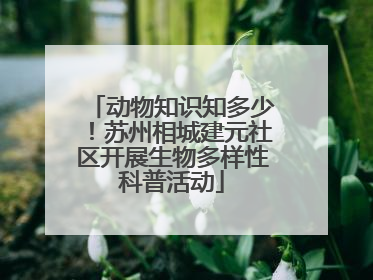 动物知识知多少！苏州相城建元社区开展生物多样性科普活动