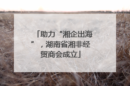 助力“湘企出海”，湖南省湘非经贸商会成立
