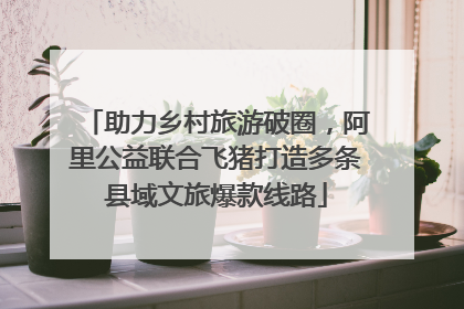 助力乡村旅游破圈，阿里公益联合飞猪打造多条县域文旅爆款线路