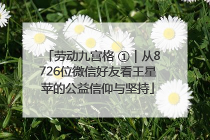 劳动九宫格 ①｜从8726位微信好友看王星苹的公益信仰与坚持
