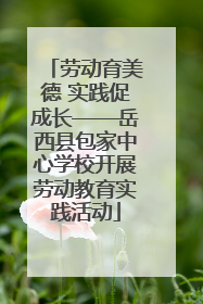 劳动育美德 实践促成长——岳西县包家中心学校开展劳动教育实践活动
