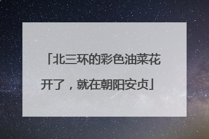 北三环的彩色油菜花开了，就在朝阳安贞