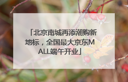 北京南城再添潮购新地标，全国最大京东MALL端午开业