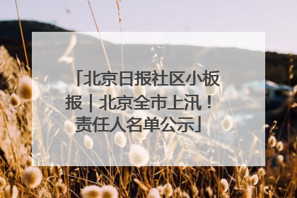 北京日报社区小板报｜北京全市上汛！责任人名单公示