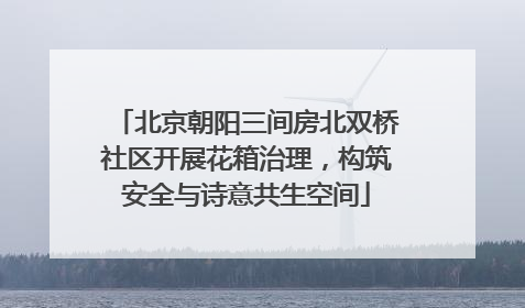 北京朝阳三间房北双桥社区开展花箱治理，构筑安全与诗意共生空间