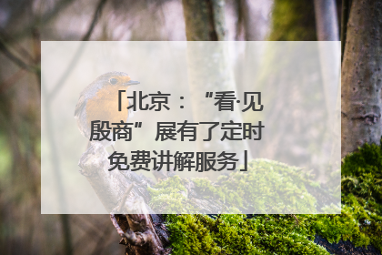 北京：“看·见殷商”展有了定时免费讲解服务