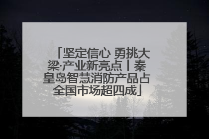 坚定信心 勇挑大梁·产业新亮点丨秦皇岛智慧消防产品占全国市场超四成