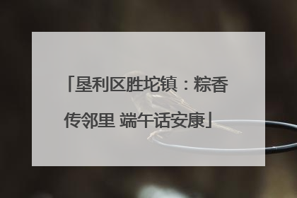 垦利区胜坨镇：粽香传邻里 端午话安康