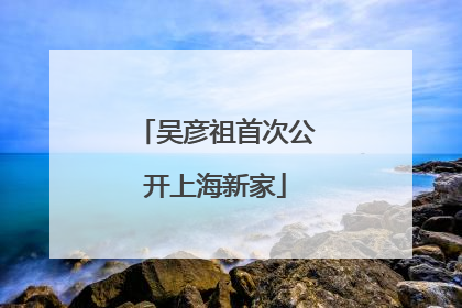 吴彦祖首次公开上海新家