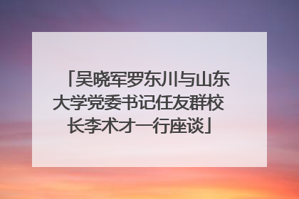 吴晓军罗东川与山东大学党委书记任友群校长李术才一行座谈