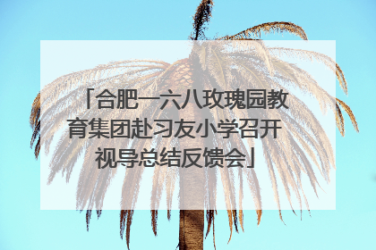 合肥一六八玫瑰园教育集团赴习友小学召开视导总结反馈会