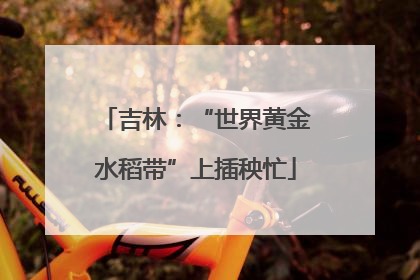 吉林：“世界黄金水稻带”上插秧忙