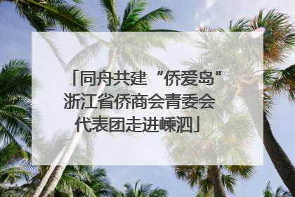 同舟共建“侨爱岛” 浙江省侨商会青委会代表团走进嵊泗
