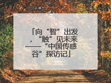 向“智”出发，“触”见未来——“中国传感谷”探访记