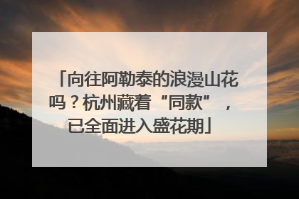 向往阿勒泰的浪漫山花吗？杭州藏着“同款”，已全面进入盛花期