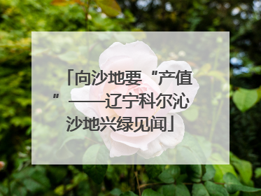 向沙地要“产值”——辽宁科尔沁沙地兴绿见闻
