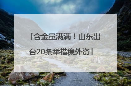 含金量满满！山东出台20条举措稳外资
