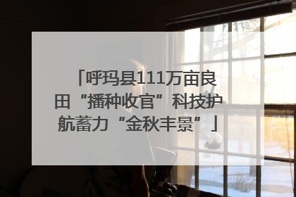 呼玛县111万亩良田“播种收官”科技护航蓄力“金秋丰景”