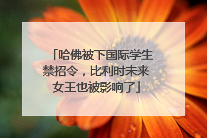 哈佛被下国际学生禁招令，比利时未来女王也被影响了
