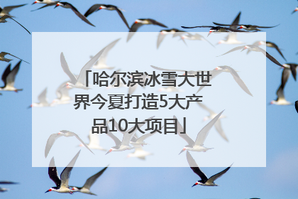 哈尔滨冰雪大世界今夏打造5大产品10大项目